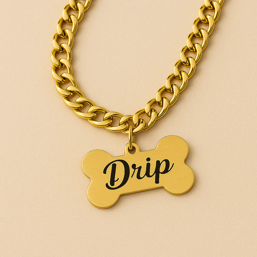 Personalized Dog Name Tag with Chain