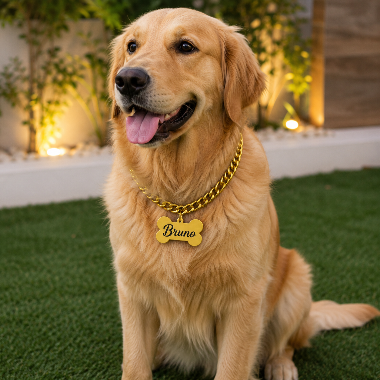 Premium Dog Name Tag with Chain